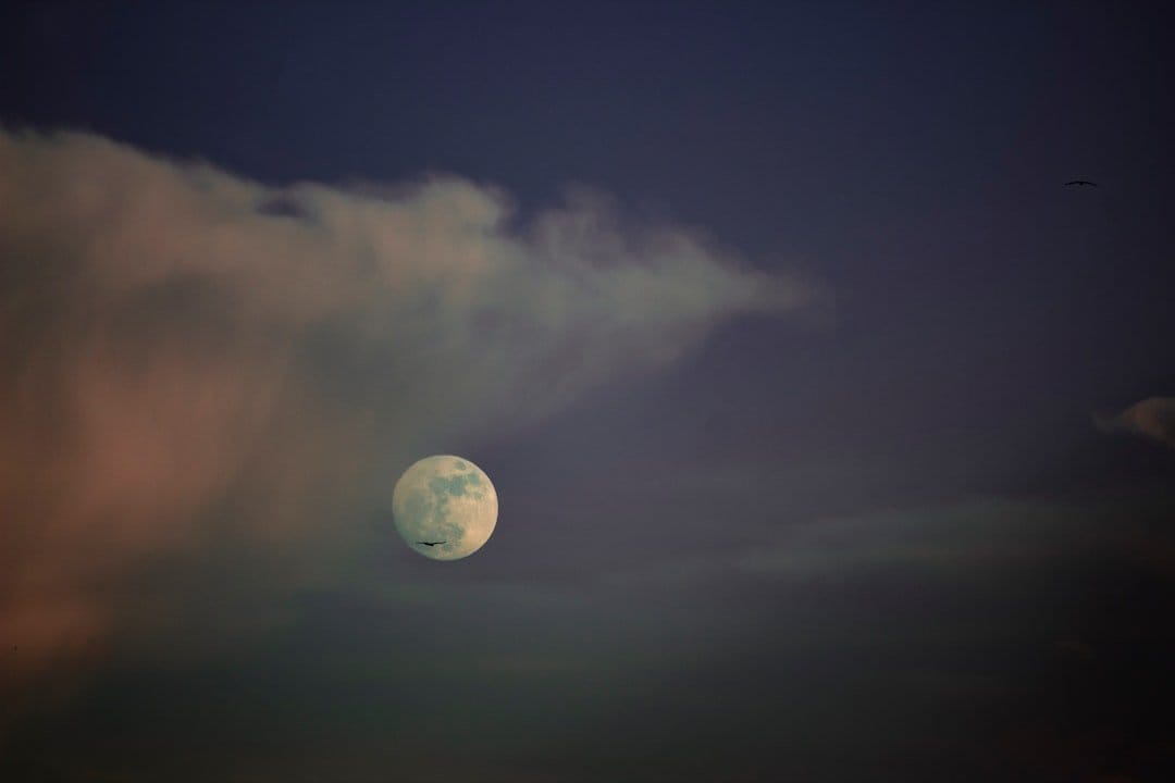 Artemis II crew celebrating their historic return from the Moon, showcasing excitement and teamwork in space exploration.