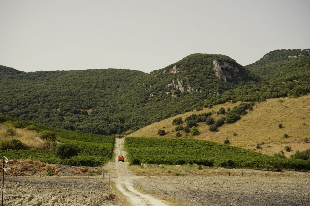 Sicily Wine Tourism Push From Rome Could Change Travel