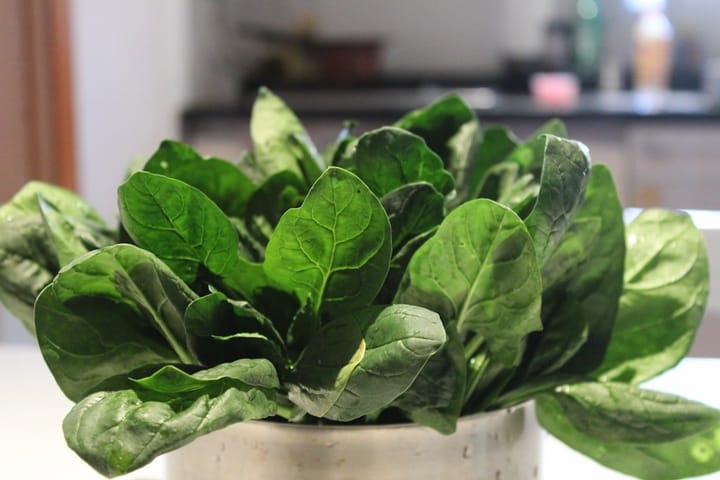 Close-up of a mouse eye with spinach leaves in the background, illustrating dry eye research and nutrition.